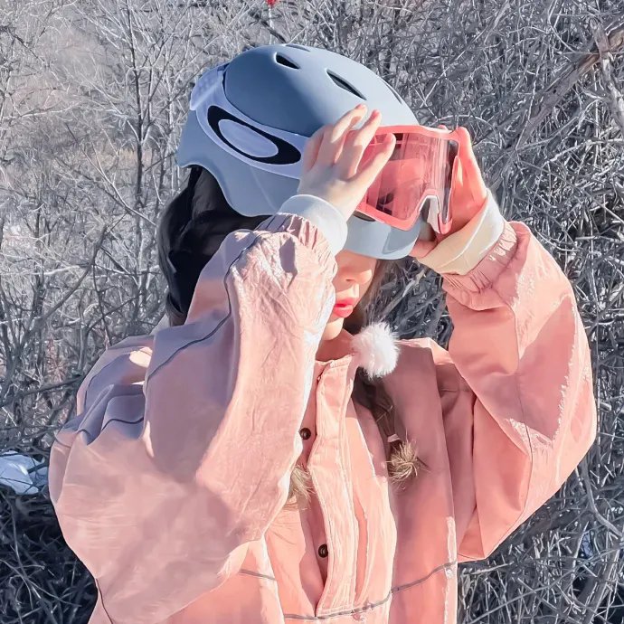 工程师普赖特的方案